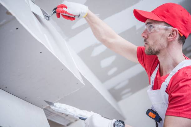 Best Drywall Sanding and Smoothing  in Callahan, FL